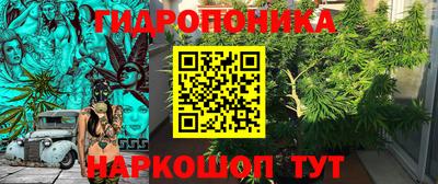 трава Новозыбков