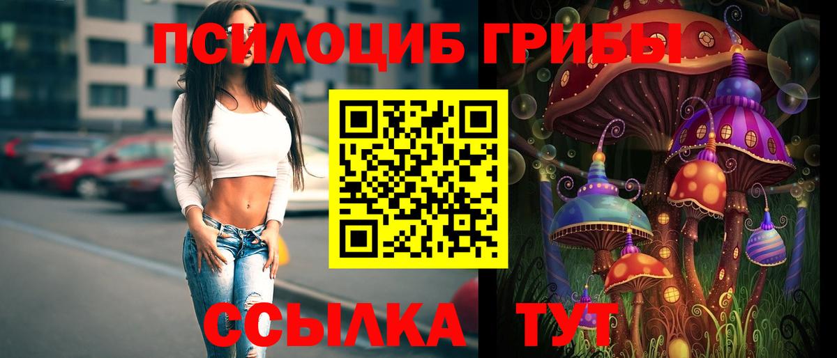 Галлюциногенные грибы Psilocybine cubensis  Вход с VPN  Сунжа 